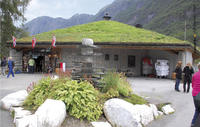 В Норвегии популярны так называемые двускатные дерновые крыши: часть кровельного пирога состоит из бересты и уложенного сверху грунта с дерном