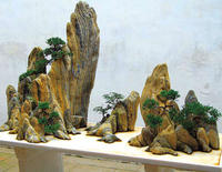30 Композиция из камней и карликовых деревьев бонсай: горы в миниатюре