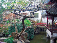 34 В Китае художник сада издавна стремился воспроизвести важные принципы мироустройства — подружить Инь и Ян, воду и камень