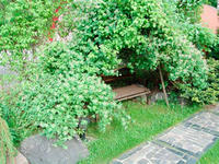 48 Над садовой скамьей в проходной зоне свита настоящая беседка из пяти сортов каприфоли